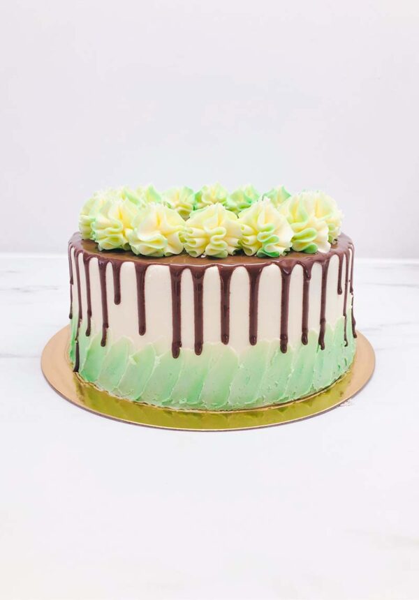 Mint Chocolate Cake
